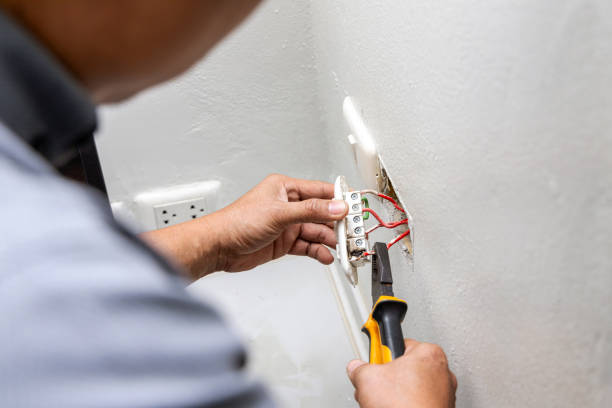 Best Electric Panel Repair  in Sioux Center, IA